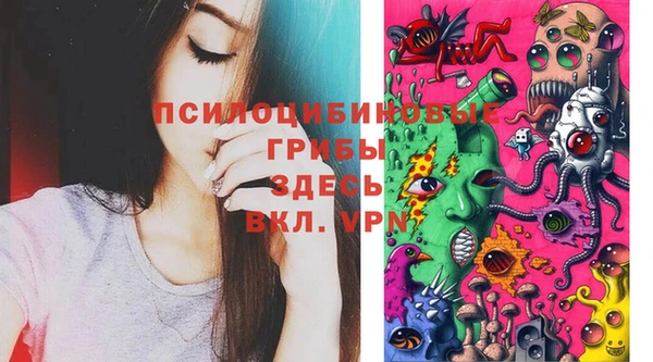 дмт Волоколамск