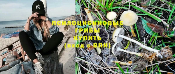 дмт Волоколамск