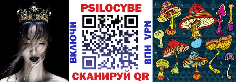 блэк спрут   закладка  Дербент  Псилоцибиновые грибы Psilocybe 